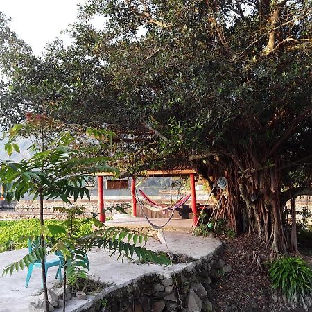 توك توك Liberta Homestay المظهر الخارجي الصورة